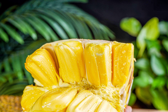 你会在那里吗？ 推荐视频