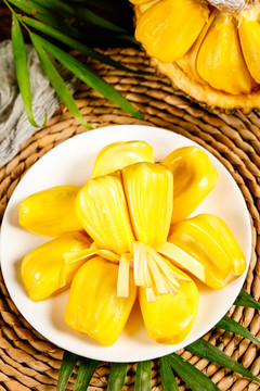 伤疤的故事 产品图片