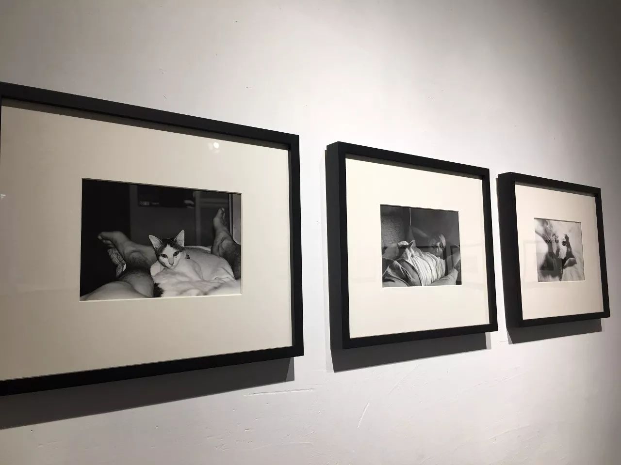 假面骑士×假面骑士 铠武 推荐视频