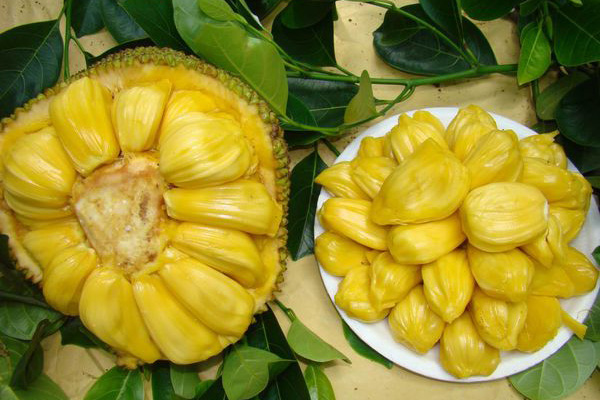 BanG Dream!剧场版 视频主图