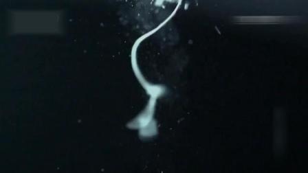 你猜我是不是英雄