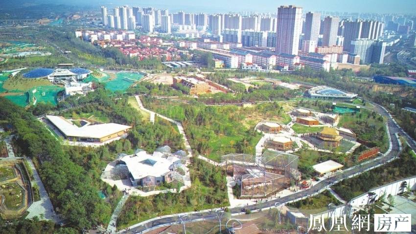 保姆之死 推荐视频