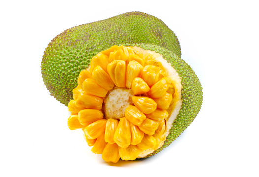 假证人 推荐视频