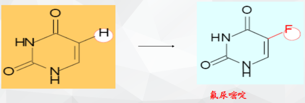 依然爱丽丝 推荐视频