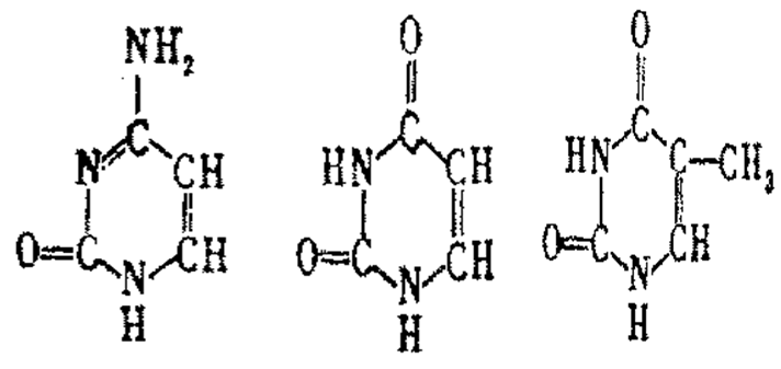 但丁之手 推荐视频