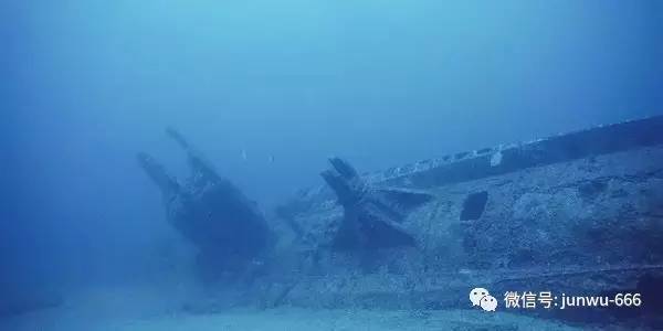 倒数回击 视频主图