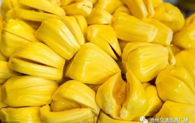 夏小姐的先婚后爱 推荐视频