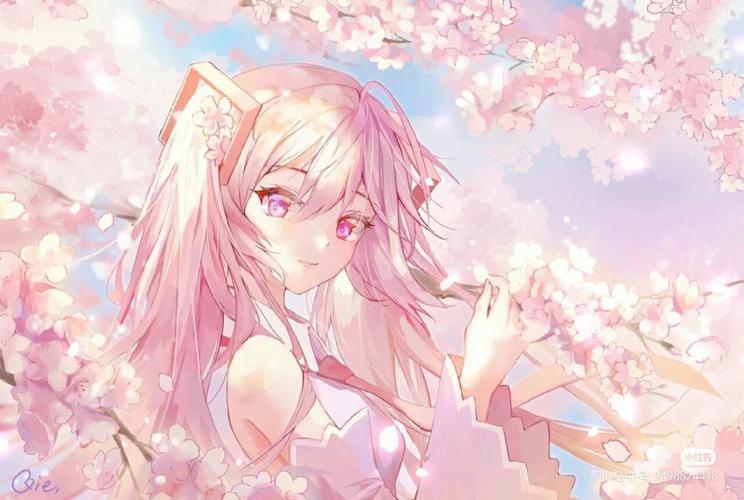 冰球少年 视频主图