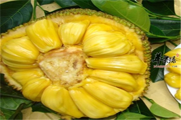 云廷心上月 推荐视频