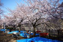 侠僧探案传奇之将军府 推荐视频