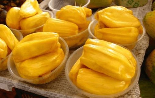 僵尸大时代 推荐视频