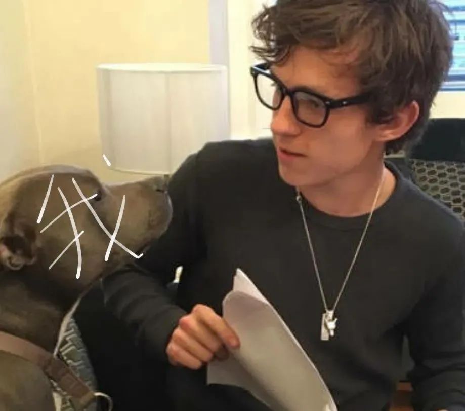 农场小牛牛：偷拍风波 视频主图