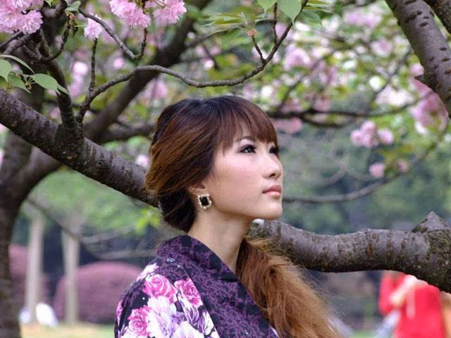 作家之殇 推荐视频