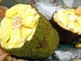 再见，残酷的世界 推荐视频