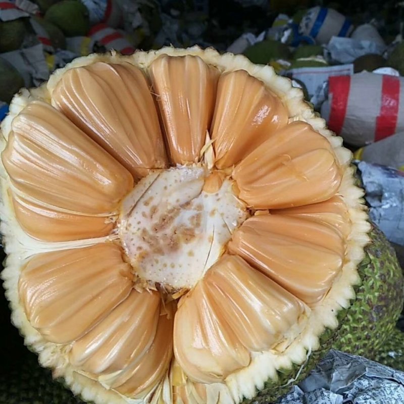 伦敦塔闹鬼 推荐视频