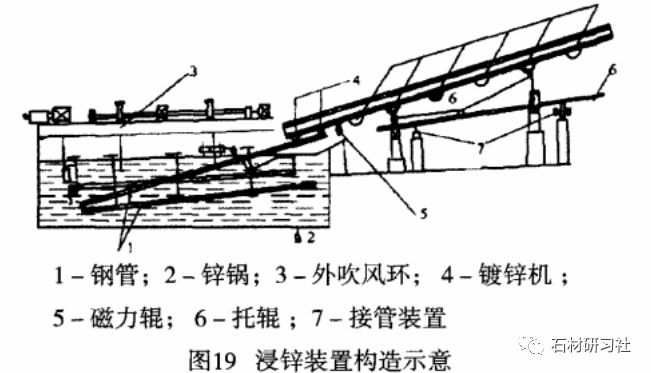 外星也难民：2024年万圣节特别篇 推荐视频