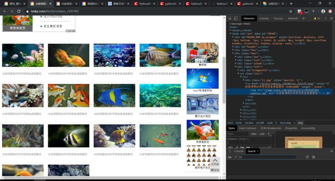 保险库 推荐视频