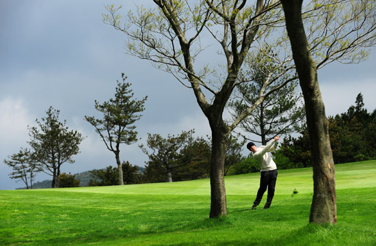 亡灵狂想曲 推荐视频