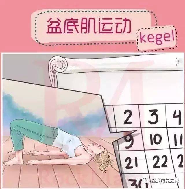 停战以后 推荐视频