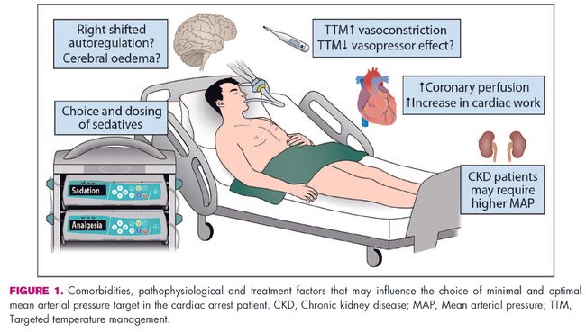 何日君再来 推荐视频