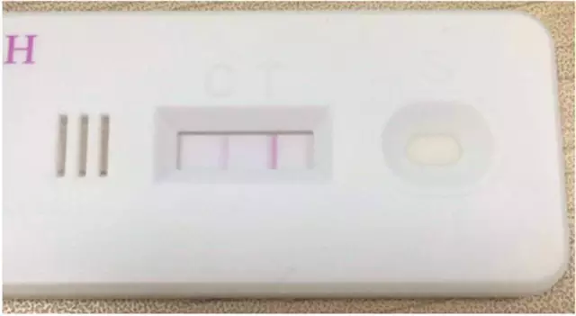 假死新人生 推荐视频