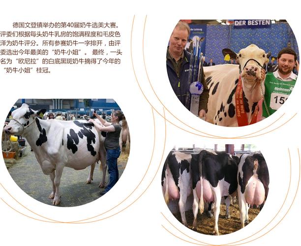 假死新人生 推荐视频