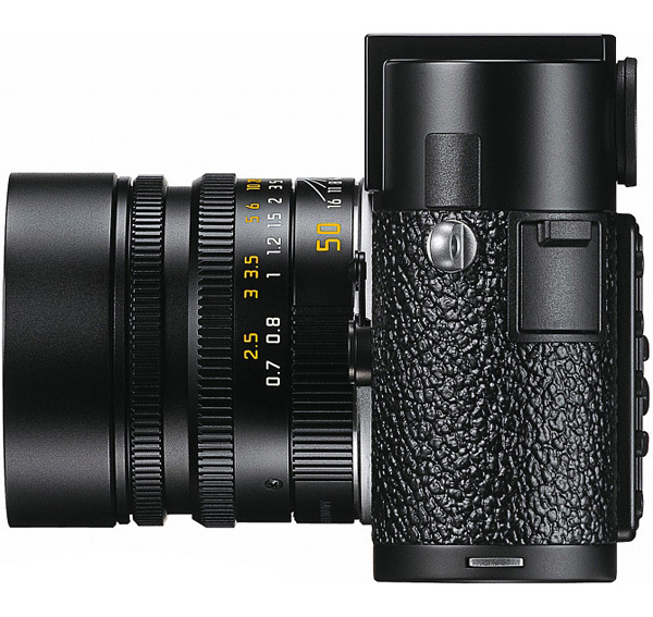 伊娜：初生之犊 推荐视频