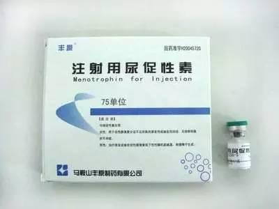 佐格与飞行医生 推荐视频