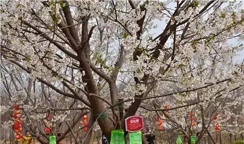 余生那些年 国语版 推荐视频