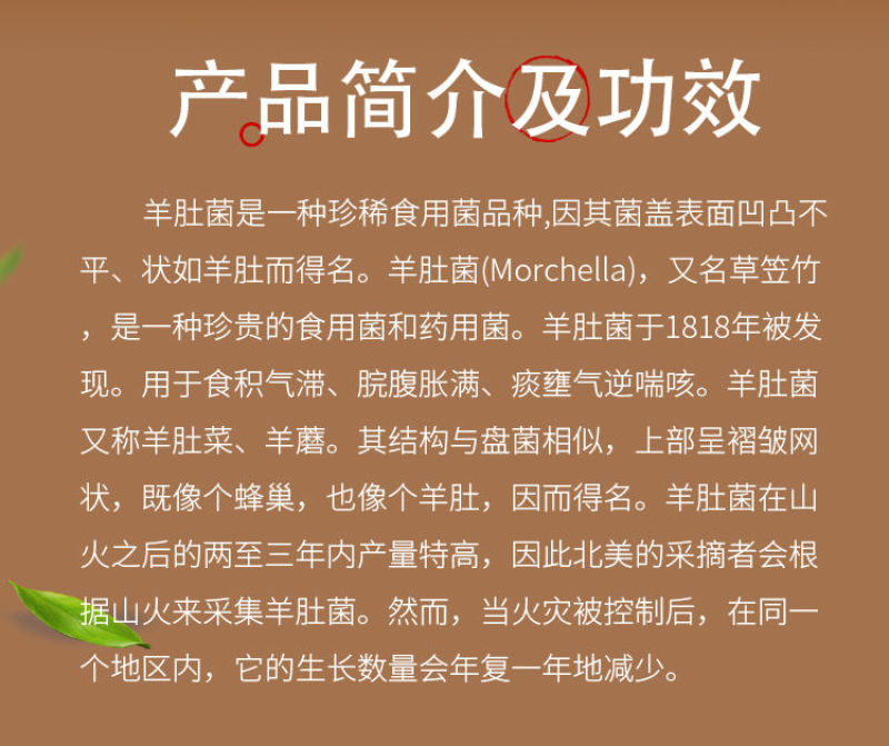 伏虎武松 推荐视频