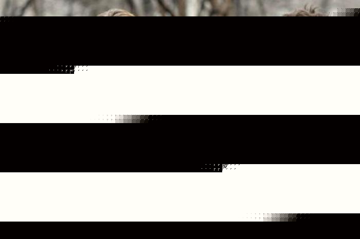 僵尸儿童 推荐视频