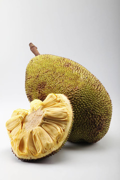 伊莉莎与玛瑟拉 推荐视频