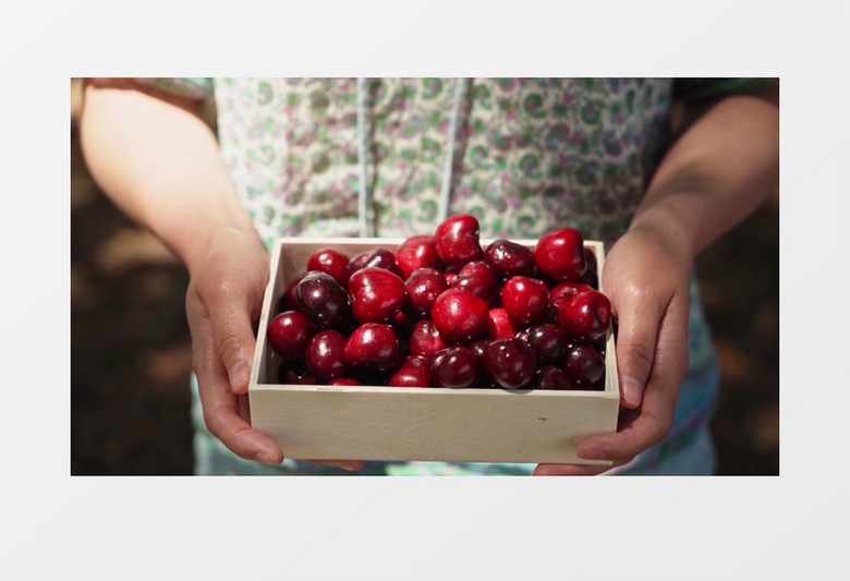 五十岁保洁重返巅峰 推荐视频