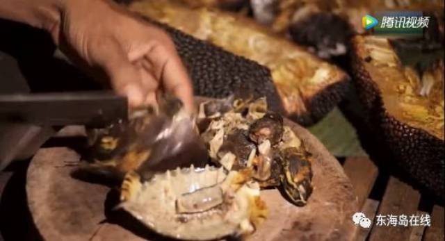 伊兹大闹洛杉矶 推荐视频